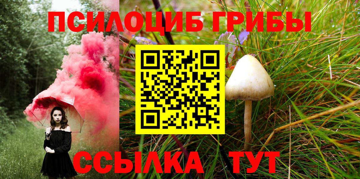 Галлюциногенные грибы MAGIC MUSHROOMS  Вход с VPN  Псилоцибиновые грибы ЛСД  Заволжье 
