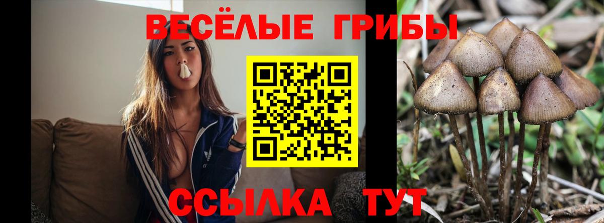 Псилоцибиновые грибы мицелий Заволжье
